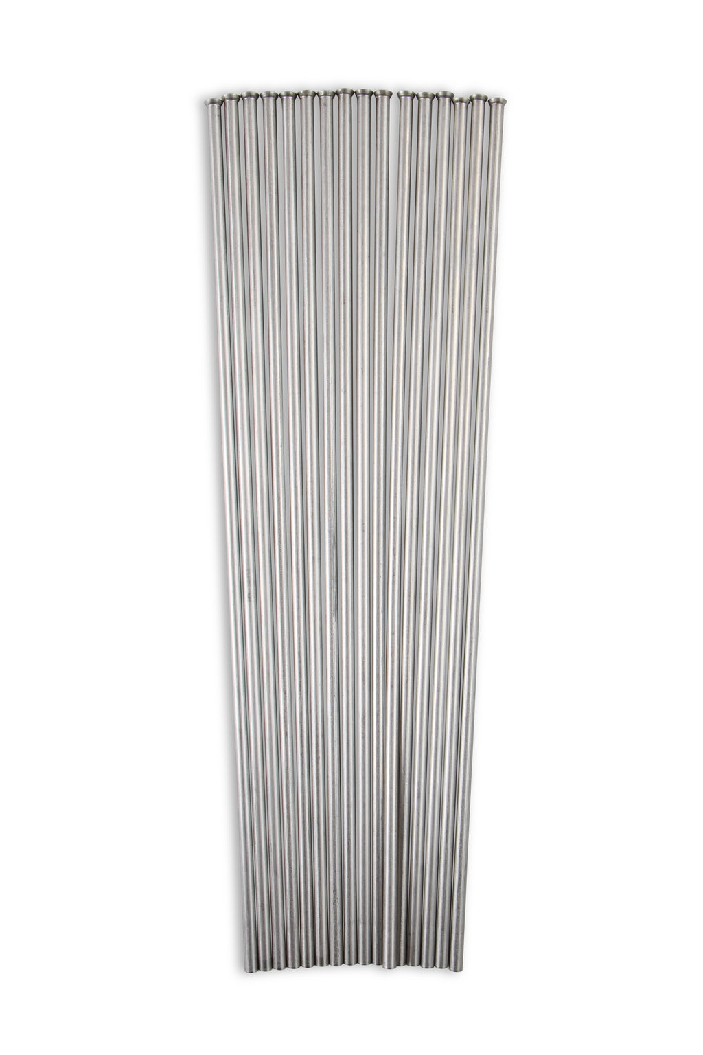 02464nos_18.jpg