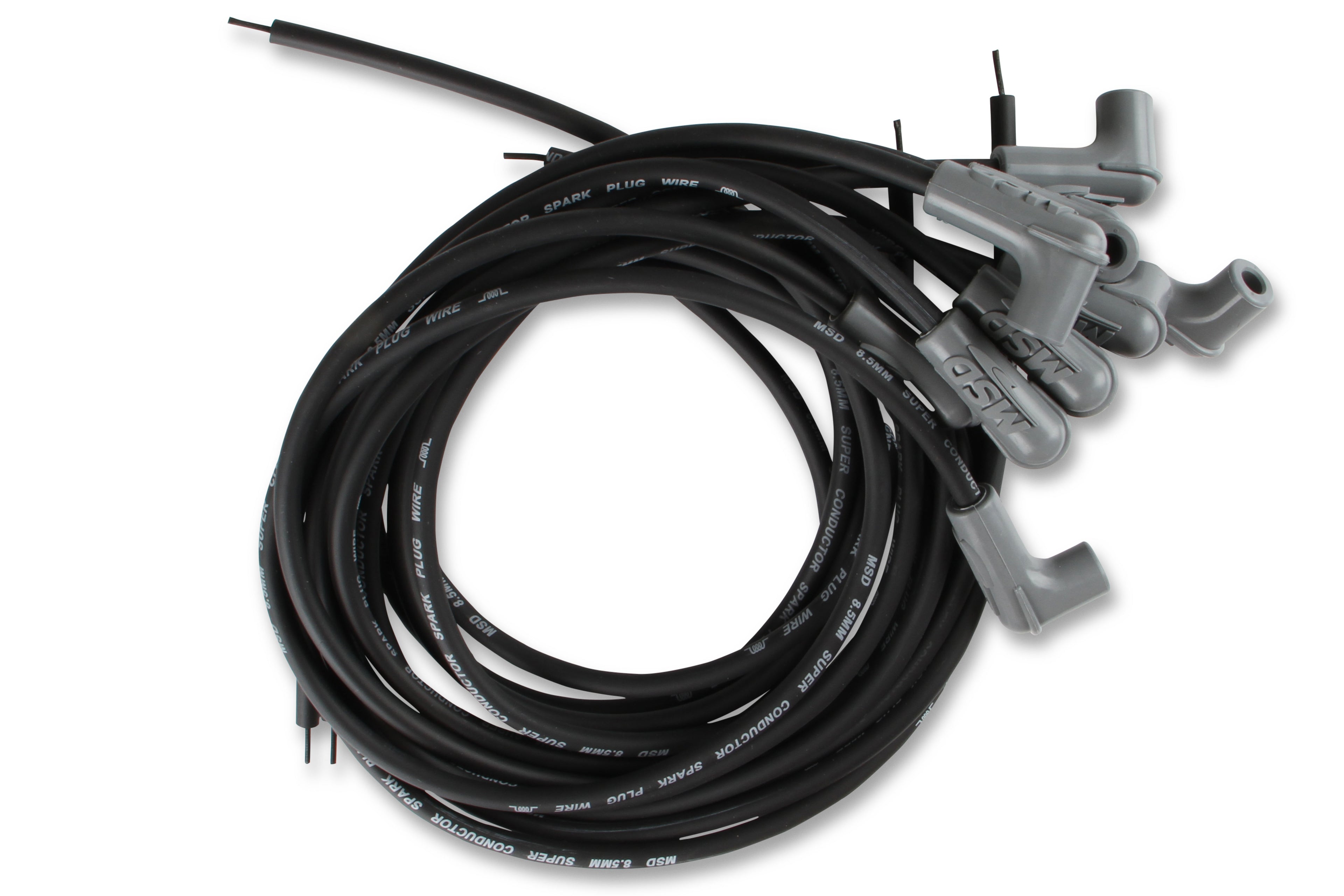 31223_01.jpg